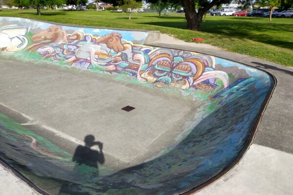 anderson_park_skate_park_greenmeadows_napier_4112_skate_finder_nz_0