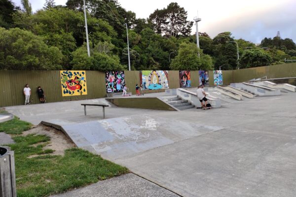 block_road_skateboard_park_125_western_hutt_road_tirohanga_lower_hutt_5010_skate_finder_nz_0