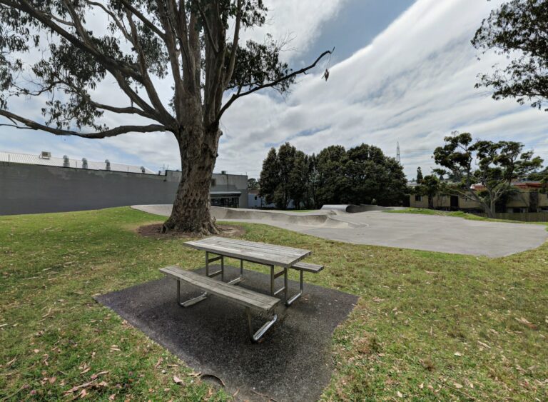 The Best Skateparks In Auckland New Zealand Skate Finder