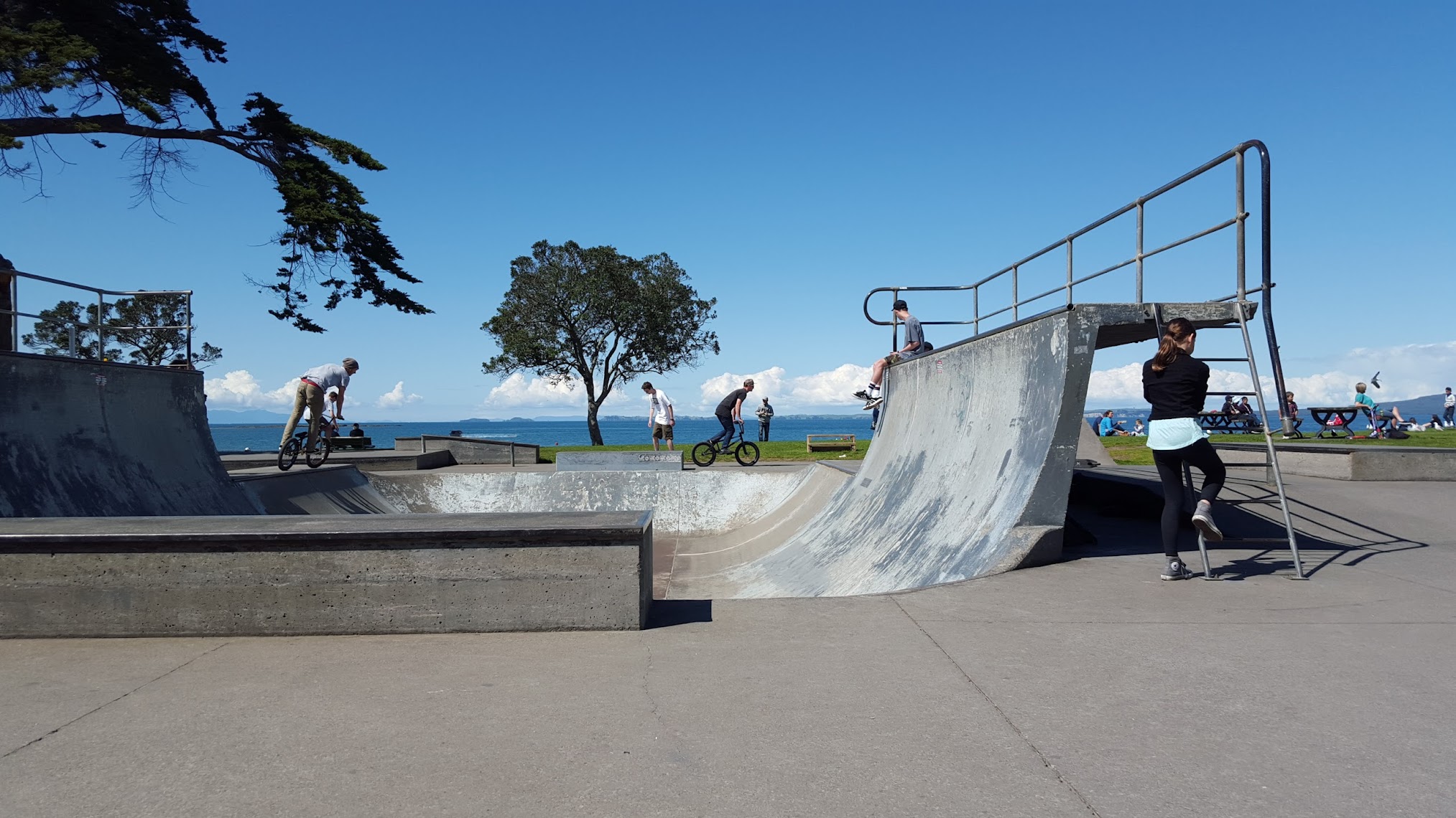 Browns Bay Skate Park