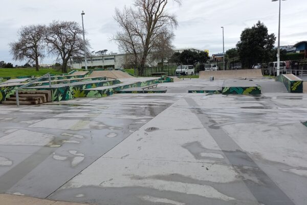 clendon_skatepark_palmers_road_clendon_park_auckland_2103_skate_finder_nz_0