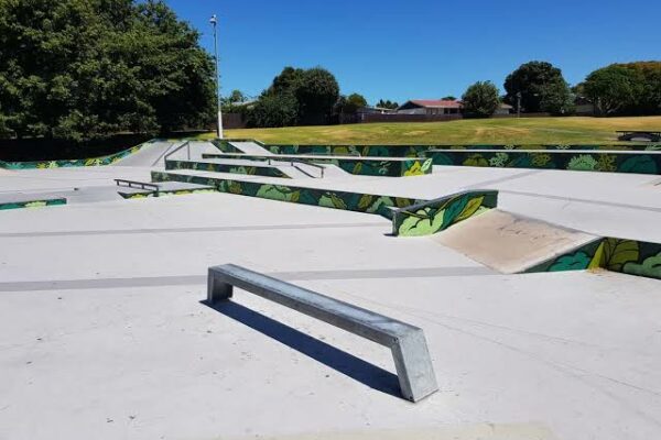 clendon_skatepark_palmers_road_clendon_park_auckland_2103_skate_finder_nz_1
