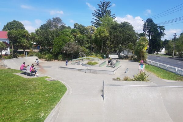 collins_park_skatepark_16_20_greenhithe_road_greenhithe_auckland_0632_skate_finder_nz