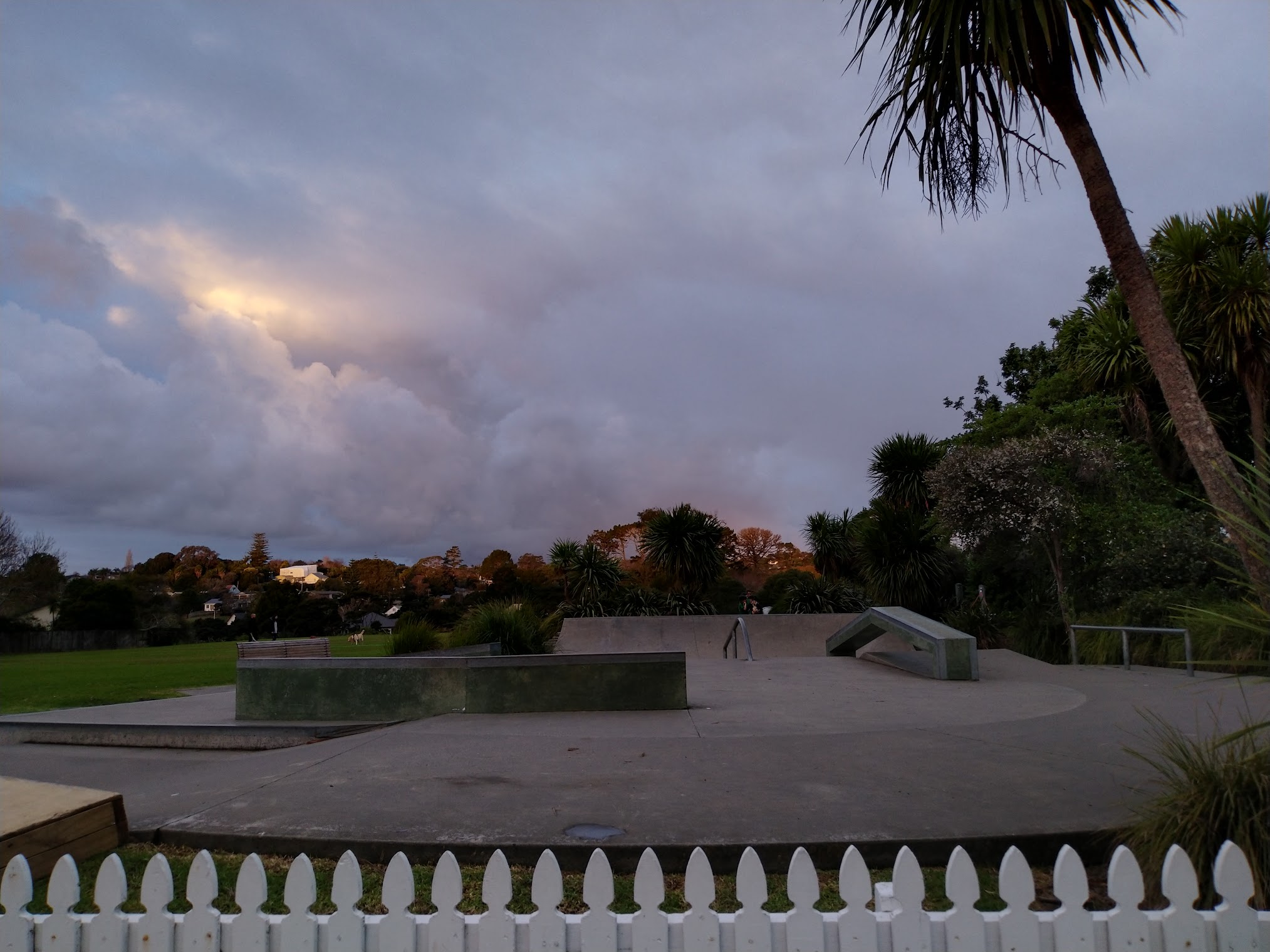 Collins Park Skatepark Auckland, NZ Skate Finder