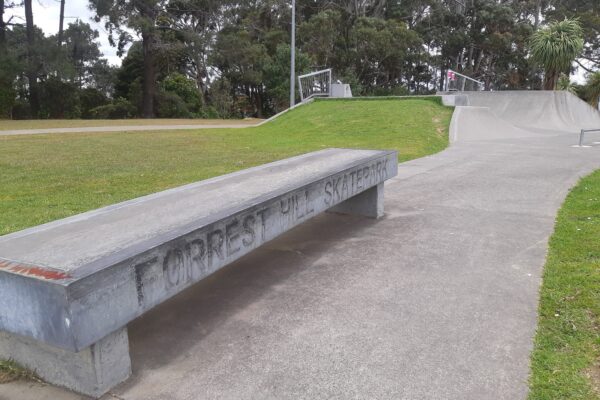 forest_hill_skatepark_253_forrest_hill_road_forrest_hill_auckland_0620_skate_finder_nz_1