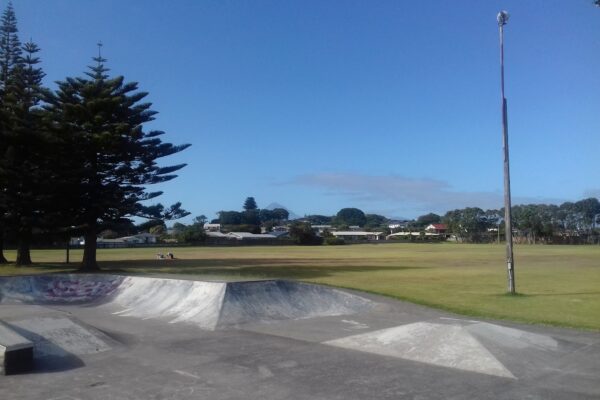 hickford_park_bell_block_new_plymouth_4312_skate_finder_nz