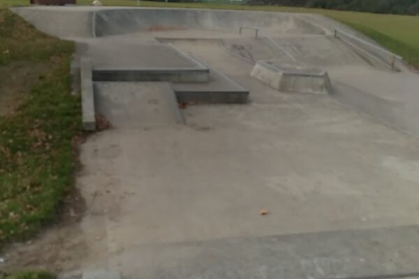 huia_lyons_reserve_bellingham_crescent_fordlands_rotorua_3015_skate_finder_nz_0
