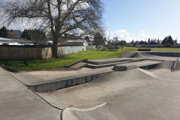 huia_lyons_reserve_bellingham_crescent_fordlands_rotorua_3015_skate_finder_nz_1
