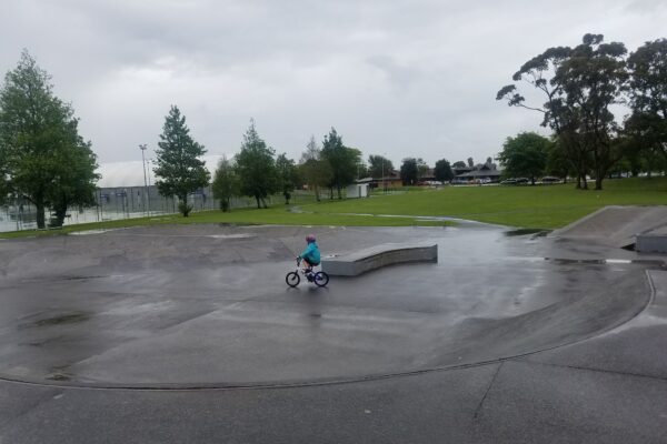 lincoln_rd_skatepark_199_lincoln_road_henderson_auckland_0610_skate_finder_nz_1