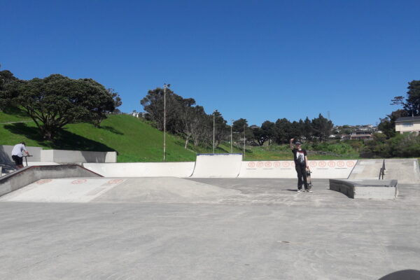 newlands_skate_park_214_newlands_road_newlands_wellington_6037_skate_finder_nz_0