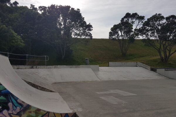 newlands_skate_park_214_newlands_road_newlands_wellington_6037_skate_finder_nz_1