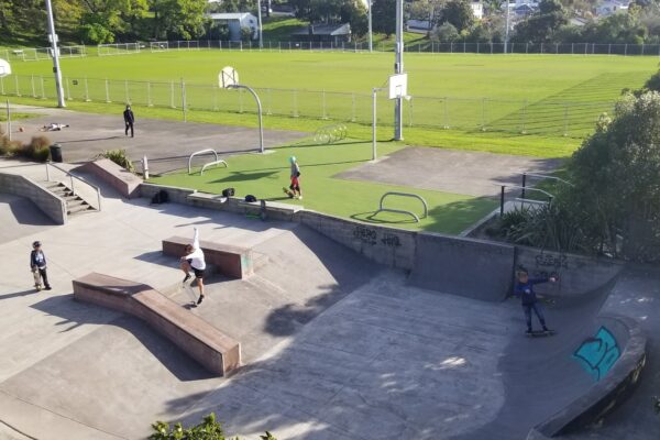 nixon_skatepark_bond_street_kingsland_auckland_1021_skate_finder_nz