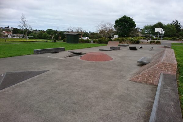 owairaka_skatepark_56-60_owairaka_avenue_mount_albert_auckland_1025_skate_finder_nz