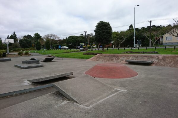 owairaka_skatepark_56-60_owairaka_avenue_mount_albert_auckland_1025_skate_finder_nz_1