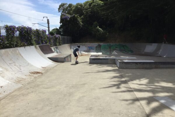 pukerua_bay_skatepark_4008113_pukerua_bay_porirua_5026_skate_finder_nz