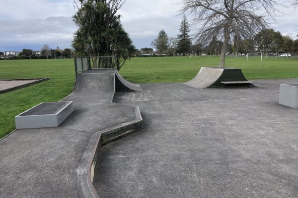 riversdale_rd_skateboard_park_avondale_auckland_1026_skate_finder_nz_1