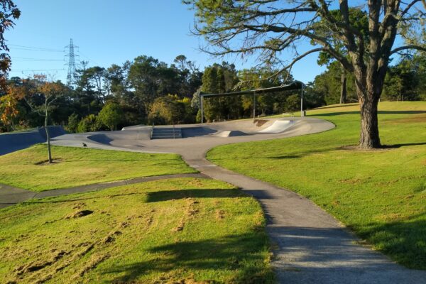 sister_rene_shadbolt_skate_bowl_200_portage_road_new_lynn_auckland_0600_skate_finder_nz