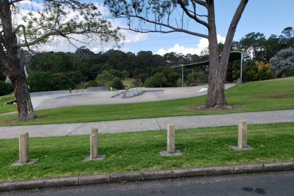 sister_rene_shadbolt_skate_bowl_200_portage_road_new_lynn_auckland_0600_skate_finder_nz_1