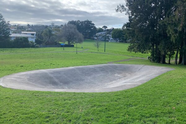sunnynook_skate_bowl_sunnynook_road_sunnynook_auckland_0620_skate_finder_nz