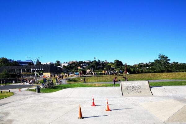 tauranga_skate_park_181_17th_avenue_tauranga_south_tauranga_3112_skate_finder_nz
