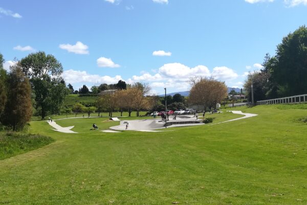 te_awamutu_skate_park_701_931_rewi_street_te_awamutu_3800_skate_finder_nz