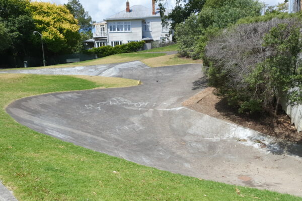 tole_reserve_104_clarence_street_ponsonby_auckland_1011_skate_finder_nz_0