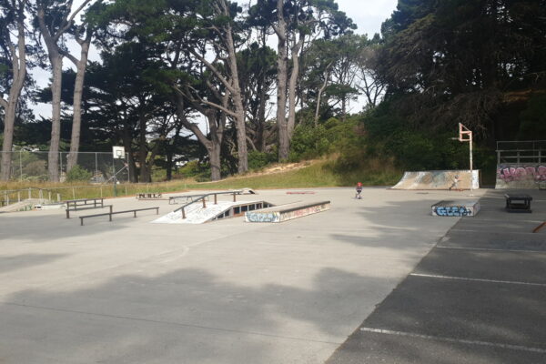 treetops_skate_park_113_russell_terrace_newtown_wellington_6021_skate_finder_nz