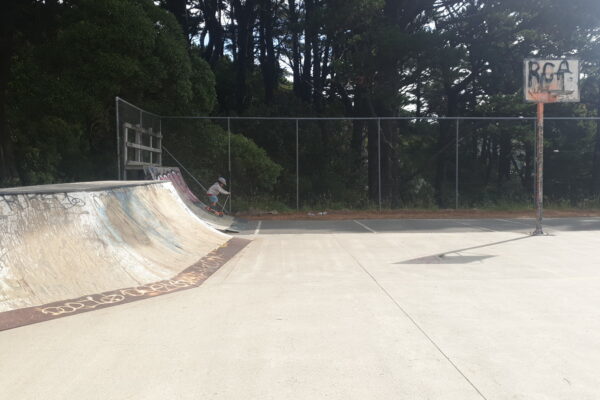 treetops_skate_park_113_russell_terrace_newtown_wellington_6021_skate_finder_nz_0